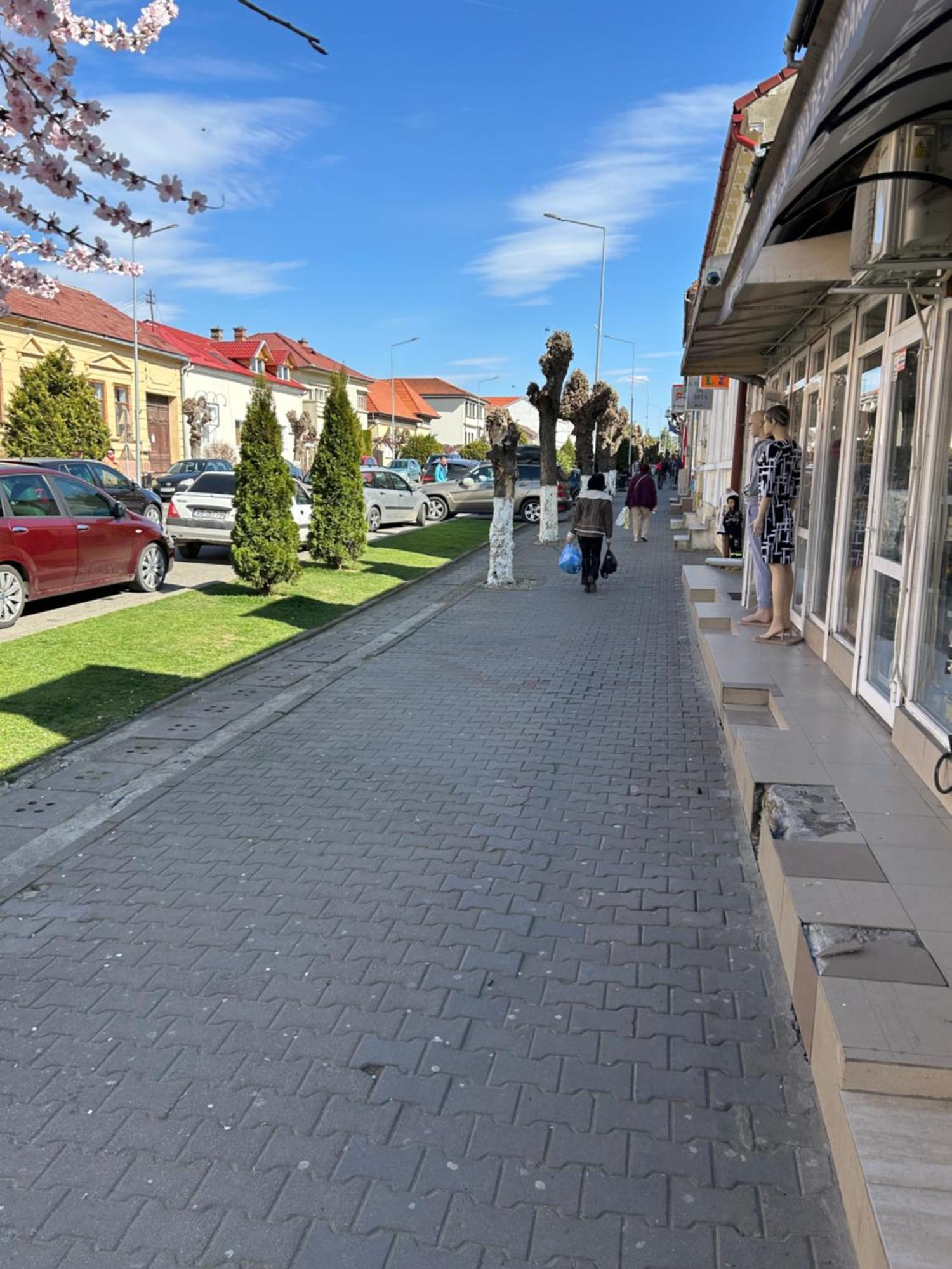 Apartamento Bivolul Negru Blaj Exterior foto